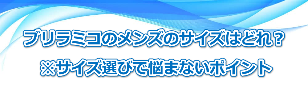 �u�����~�R�̃����Y�̃T�C�Y�͂ǂ�H���T�C�Y�I�тŔY�܂Ȃ��|�C���g